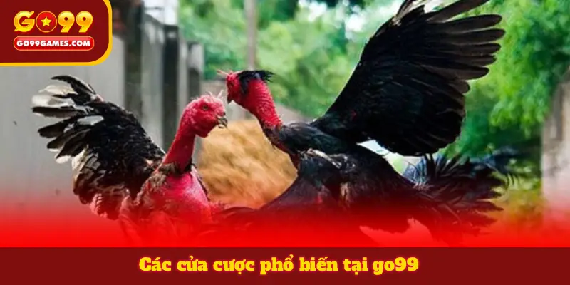 Các cửa cược phổ biến tại go99