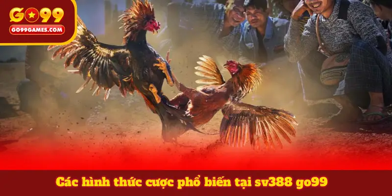 Các hình thức cược phổ biến tại sv388 go99