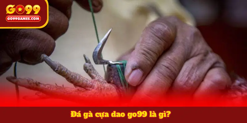 Đá gà cựa dao go99 là gì?