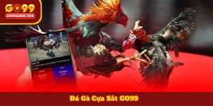 Đá Gà Cựa Sắt GO99