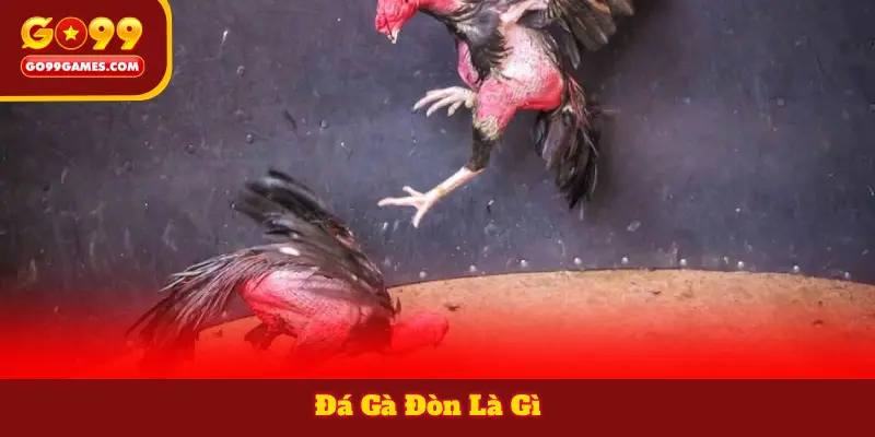 Đá Gà Đòn Là Gì