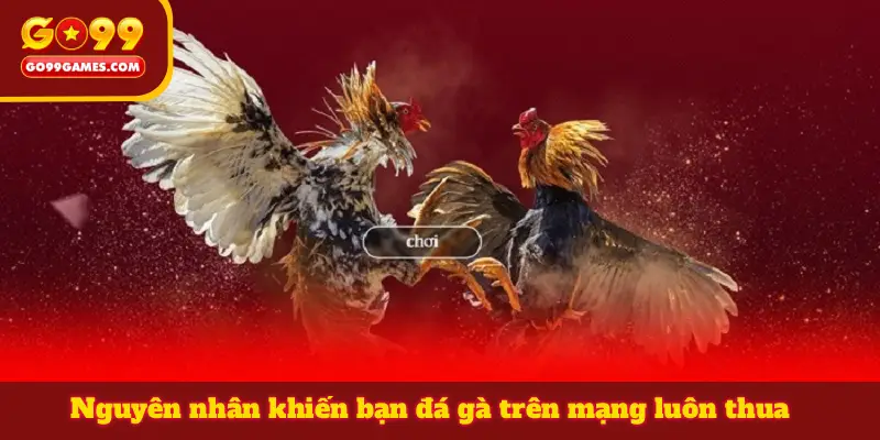 Nguyên nhân khiến bạn đá gà trên mạng luôn thua
