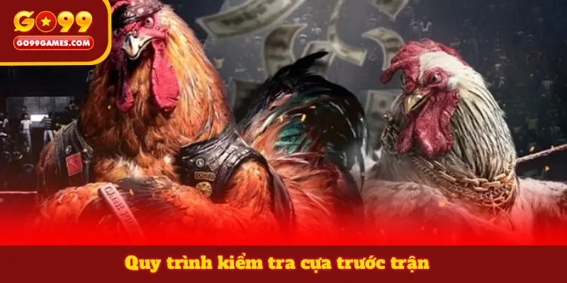 Quy trình kiểm tra cựa trước trận