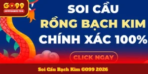 Soi Cầu Bạch Kim GO99 2026