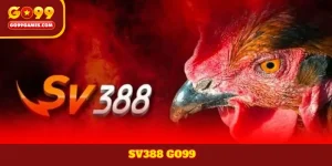 SV388 GO99