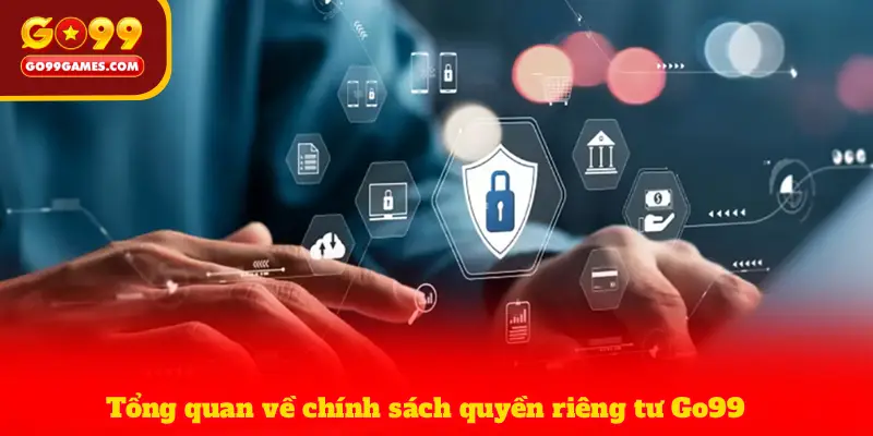 Tổng quan về chính sách quyền riêng tư Go99