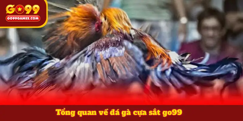 Tổng quan về đá gà cựa sắt go99